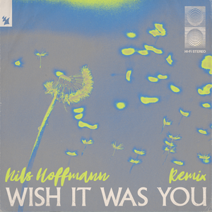 Wish It Was You (Nils Hoffmann Extended Remix)