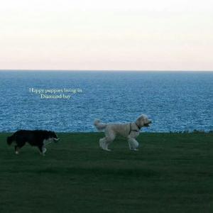 郑源-等(DJ版2024)