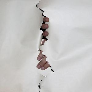 Thymian