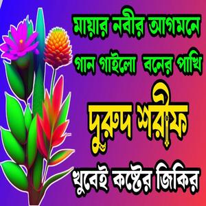 মায়ার নবীর আগমনে গান গাইলো গাছের বুলবুলে অনেক কষ্টের জিকির শুনুন অশান্ত হৃদয় শান্ত হবে