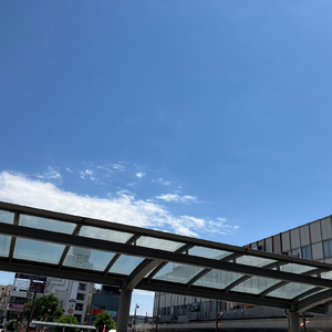 遠い街から 君の五月