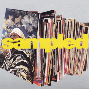 WhoSampled _Get Down On It（DJ小胖 remix）