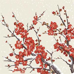 梅花三弄，羽音入肾 (二胡)