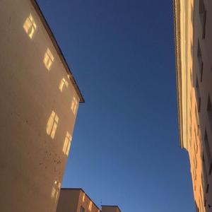 你就不要想起我