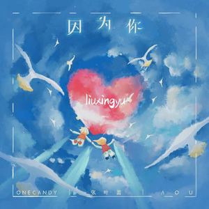 张叶蕾-因为你（liuxingyu remix）