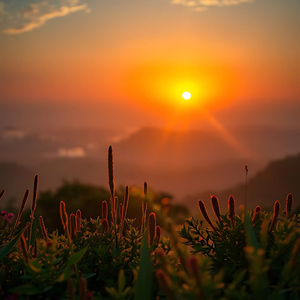 Berpaling Senja (Untuk Santai)