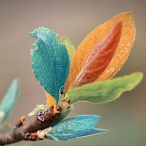 调色板   词曲：唐晓光  演唱: 蒲 莹