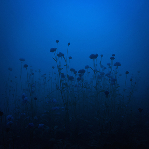 arrhythmia (slowed)