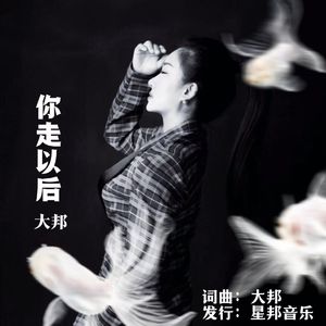 你走以后 伴奏