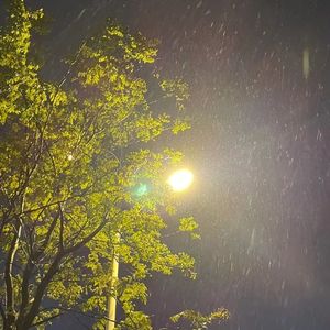 当你孤单你会想起谁