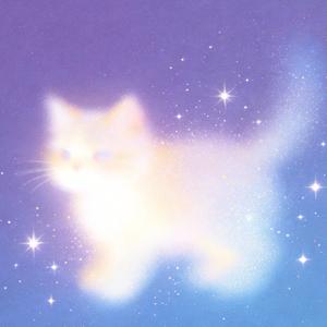 夜色流转（Stars of the night）
