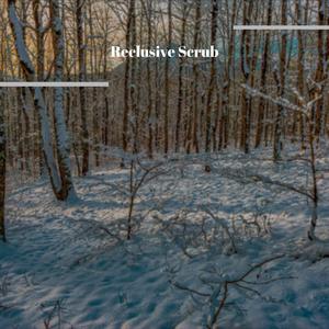 Bewitching Brewmaster