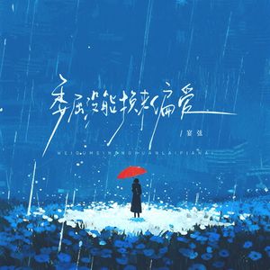 委屈没能换来偏爱