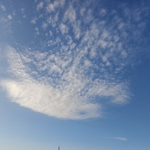 《忙》