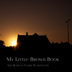 My Little Brown Book