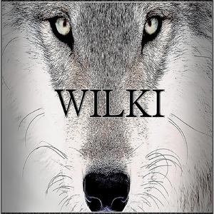 WILKI