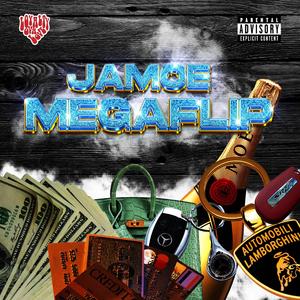 Megaflip