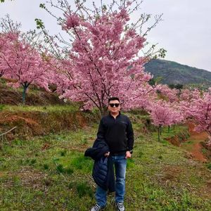 天边大雁回来了