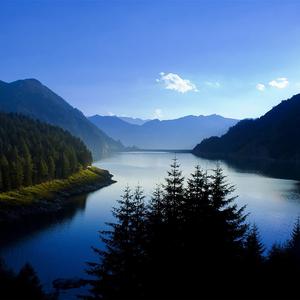 紫竹调 (萨克斯)