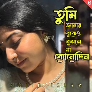 তুমি আমায় বুঝেও বুঝলে না কোনোদিন