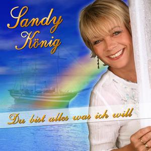 Du bist alles was ich will (Radio Version)