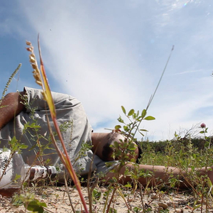 They dont really know