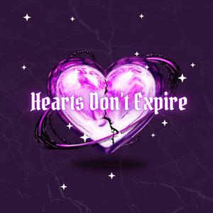 Never Came Back Again