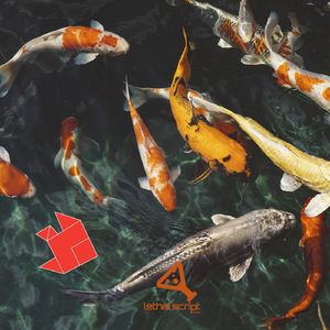 L'etrange Compagnon (Original Mix)