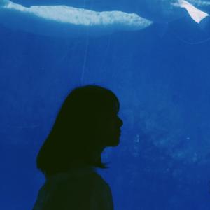 如果你从不曾爱过我