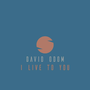 I Will Not Forget You