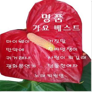 몇미터 앞에다 두고