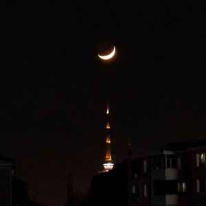 夢灯籠（白噪音版）（Piano ver.)）