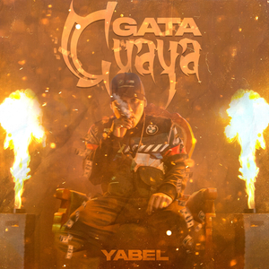 Gata Guaya