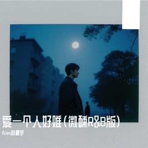 爱一个人好难（微醺R&B版）