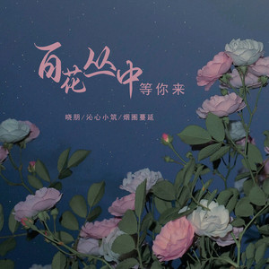 百花丛中等你来