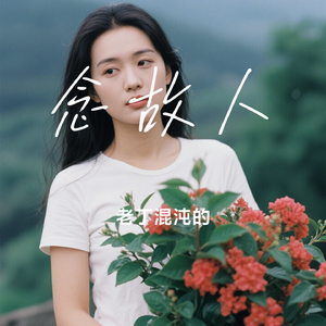 念故人