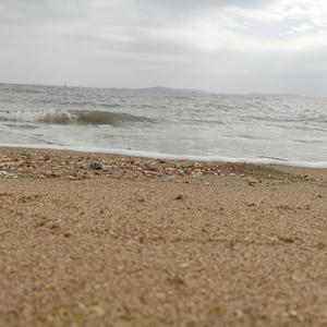 可惜我是水瓶座