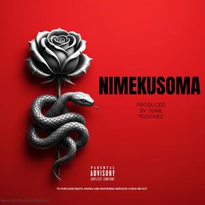 Bongo Fleva x Zouk Guitered Typebeat_NIMEKUSOMA_2026