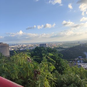 团子大家族