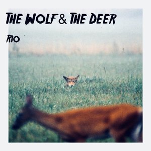 The Wolf & the Deer