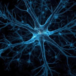 Trigeminal neuralgia morphic field