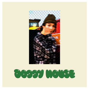 DOGGY HOUSE