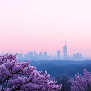 恋色グラデーション