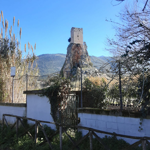 Partita in A Minor, BWV 1013: IV. Bourrée anglaise