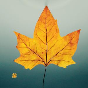 红酥手 (大提琴)