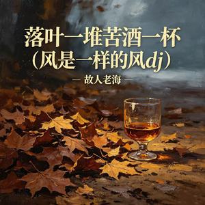 落叶一堆苦酒一杯（风是一样的风dj）