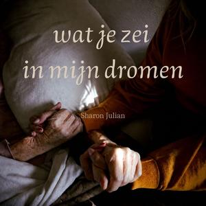 wat je zei in mijn dromen