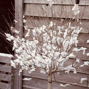 Barnkonventionen äger (feat. F-1)