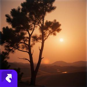 寂静的星空下 (现场)