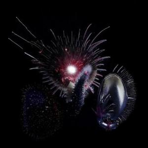 CRYSTALLIZATION